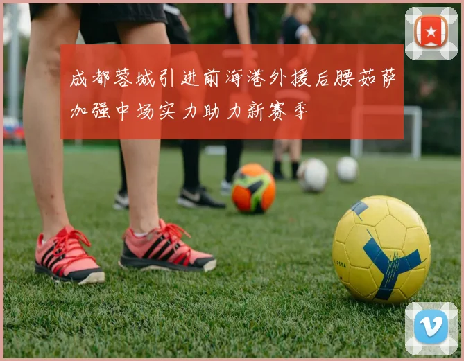 成都蓉城引进前海港外援后腰茹萨加强中场实力助力新赛季