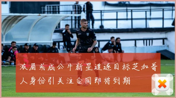 浓眉或成公牛新星追逐目标芝加哥人身份引关注合同即将到期