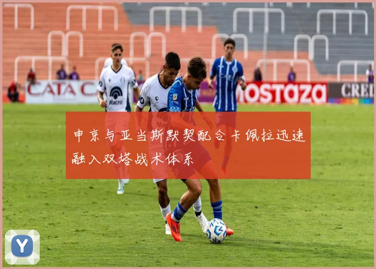 申京与亚当斯默契配合卡佩拉迅速融入双塔战术体系
