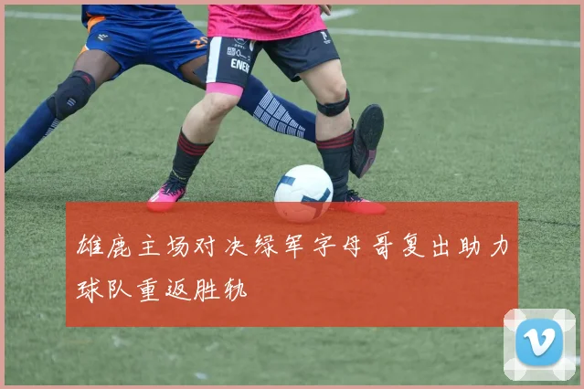 雄鹿主场对决绿军字母哥复出助力球队重返胜轨